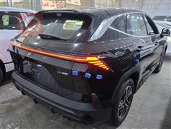 جیتۆر داشينگ